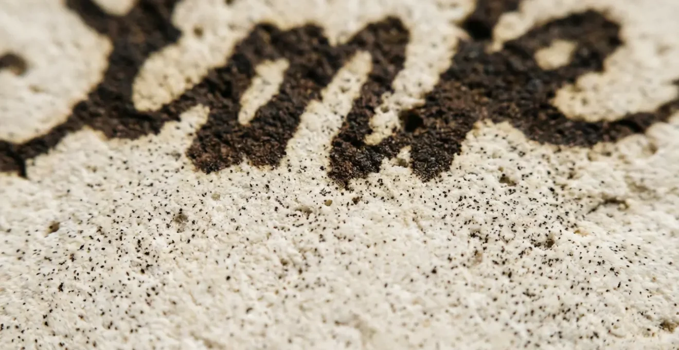 Extreme close-up of lithographic stone showing early signs of ink scumming in highlights