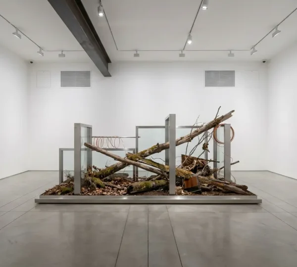 Contemporary mixed media installation with organic materials in a climate-controlled gallery space